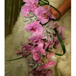 Orchid Bouquet